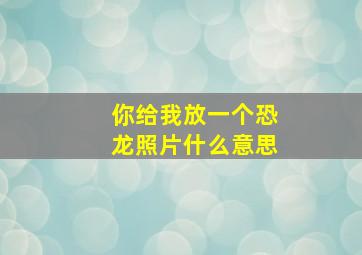 你给我放一个恐龙照片什么意思