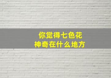 你觉得七色花神奇在什么地方