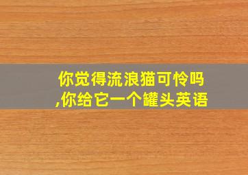 你觉得流浪猫可怜吗,你给它一个罐头英语