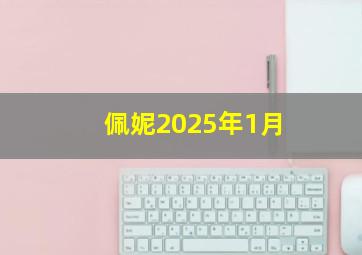 佩妮2025年1月