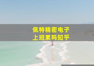 佩特精密电子上班累吗知乎