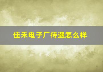 佳禾电子厂待遇怎么样