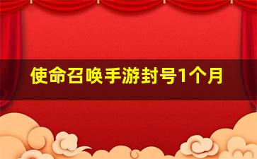 使命召唤手游封号1个月