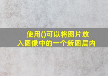 使用()可以将图片放入图像中的一个新图层内