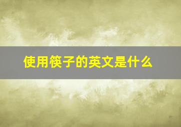 使用筷子的英文是什么