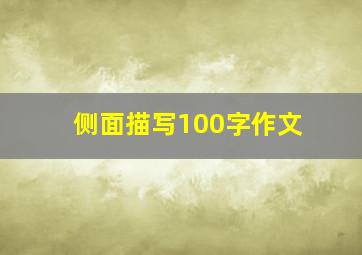 侧面描写100字作文