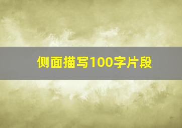 侧面描写100字片段