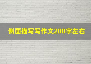 侧面描写写作文200字左右