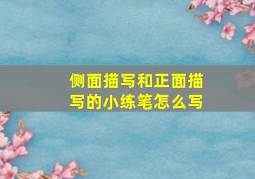 侧面描写和正面描写的小练笔怎么写