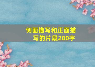 侧面描写和正面描写的片段200字