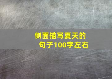 侧面描写夏天的句子100字左右