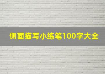 侧面描写小练笔100字大全