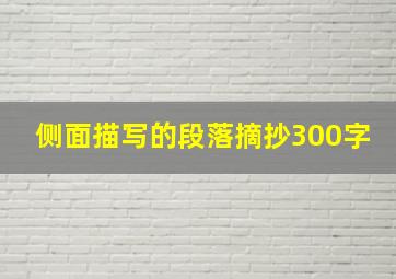 侧面描写的段落摘抄300字