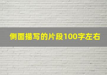 侧面描写的片段100字左右