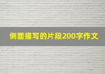 侧面描写的片段200字作文