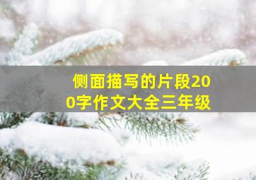 侧面描写的片段200字作文大全三年级