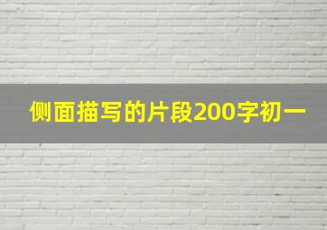 侧面描写的片段200字初一