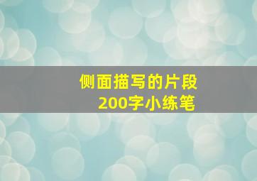 侧面描写的片段200字小练笔