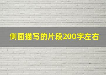 侧面描写的片段200字左右