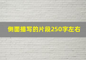 侧面描写的片段250字左右