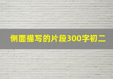 侧面描写的片段300字初二