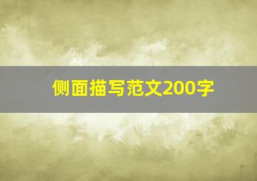 侧面描写范文200字