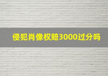 侵犯肖像权赔3000过分吗