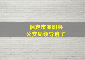 保定市曲阳县公安局领导班子