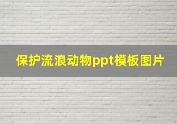 保护流浪动物ppt模板图片