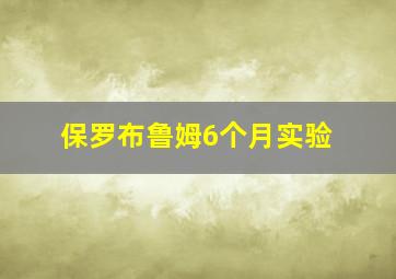 保罗布鲁姆6个月实验