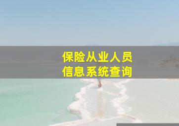 保险从业人员信息系统查询