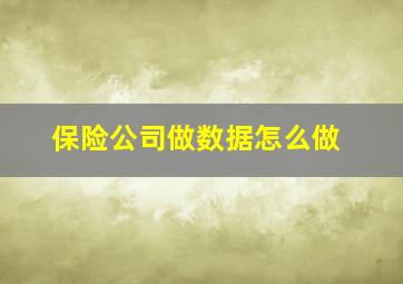 保险公司做数据怎么做