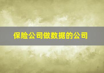 保险公司做数据的公司