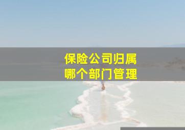 保险公司归属哪个部门管理