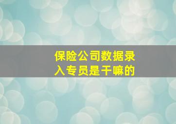 保险公司数据录入专员是干嘛的