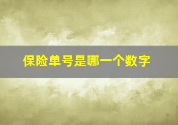 保险单号是哪一个数字