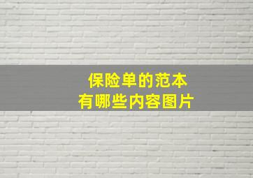 保险单的范本有哪些内容图片