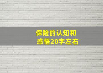 保险的认知和感悟20字左右