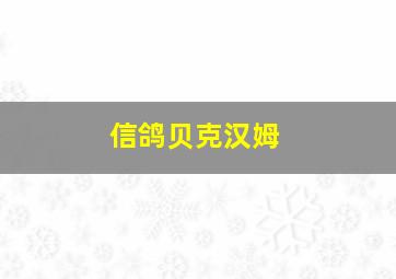 信鸽贝克汉姆