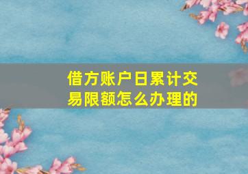 借方账户日累计交易限额怎么办理的