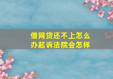 借网贷还不上怎么办起诉法院会怎样