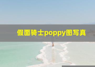 假面骑士poppy图写真