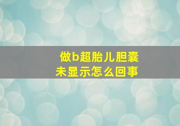 做b超胎儿胆囊未显示怎么回事