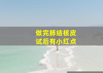 做完肺结核皮试后有小红点