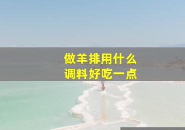 做羊排用什么调料好吃一点