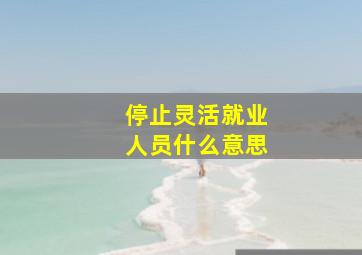 停止灵活就业人员什么意思