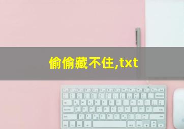 偷偷藏不住,txt