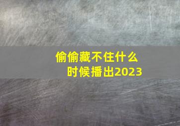 偷偷藏不住什么时候播出2023