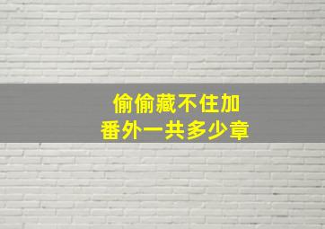 偷偷藏不住加番外一共多少章