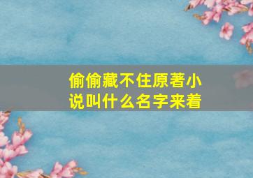 偷偷藏不住原著小说叫什么名字来着